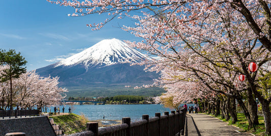 9 REASONS TO CHOOSE JAPAN FOR STUDYING ABROAD