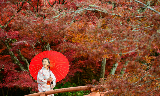 Beautiful Spots to View Autumn in Japan 2024