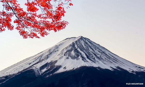Top 10 sa mga Destinasyon na Dapat Bisitahin sa Japan para sa 2024