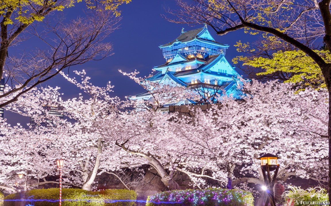 JAPAN - MGA NATATANGING KATANGIANG PANGKULTURA