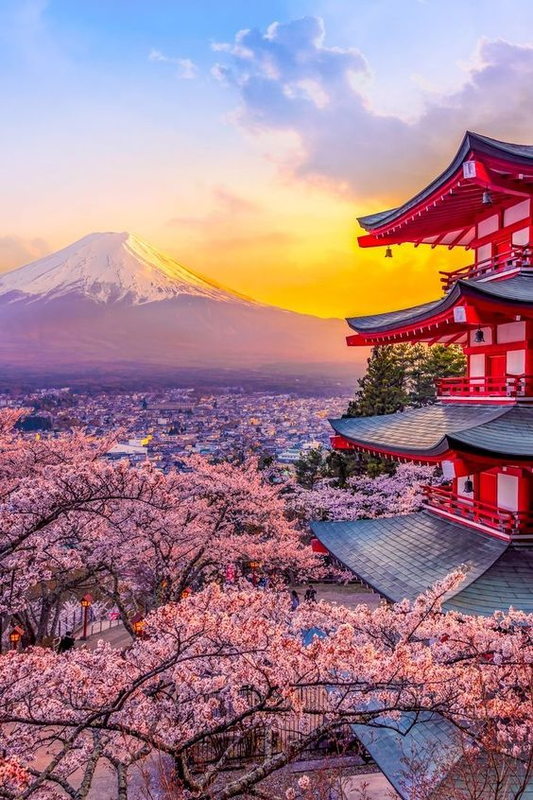 Interesting Facts About Japan You Might Not Know